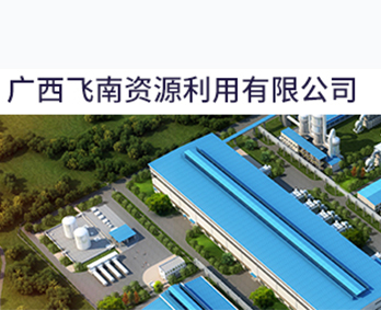 广西飞南资源利用有限公司